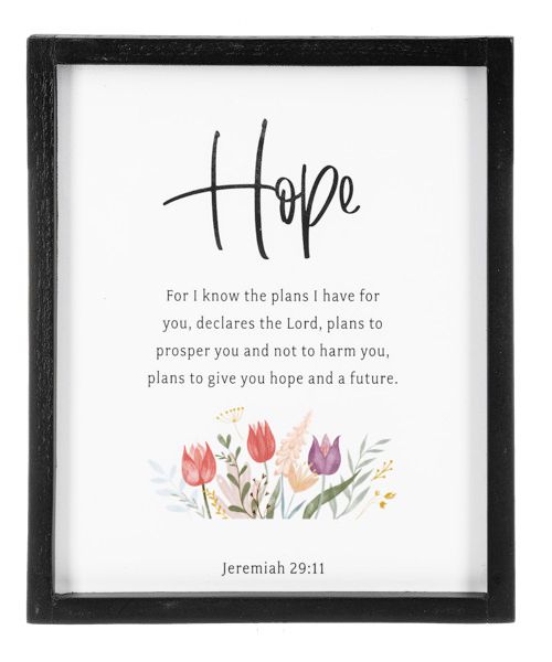 Bible Verse Wall Decor  -HOPE