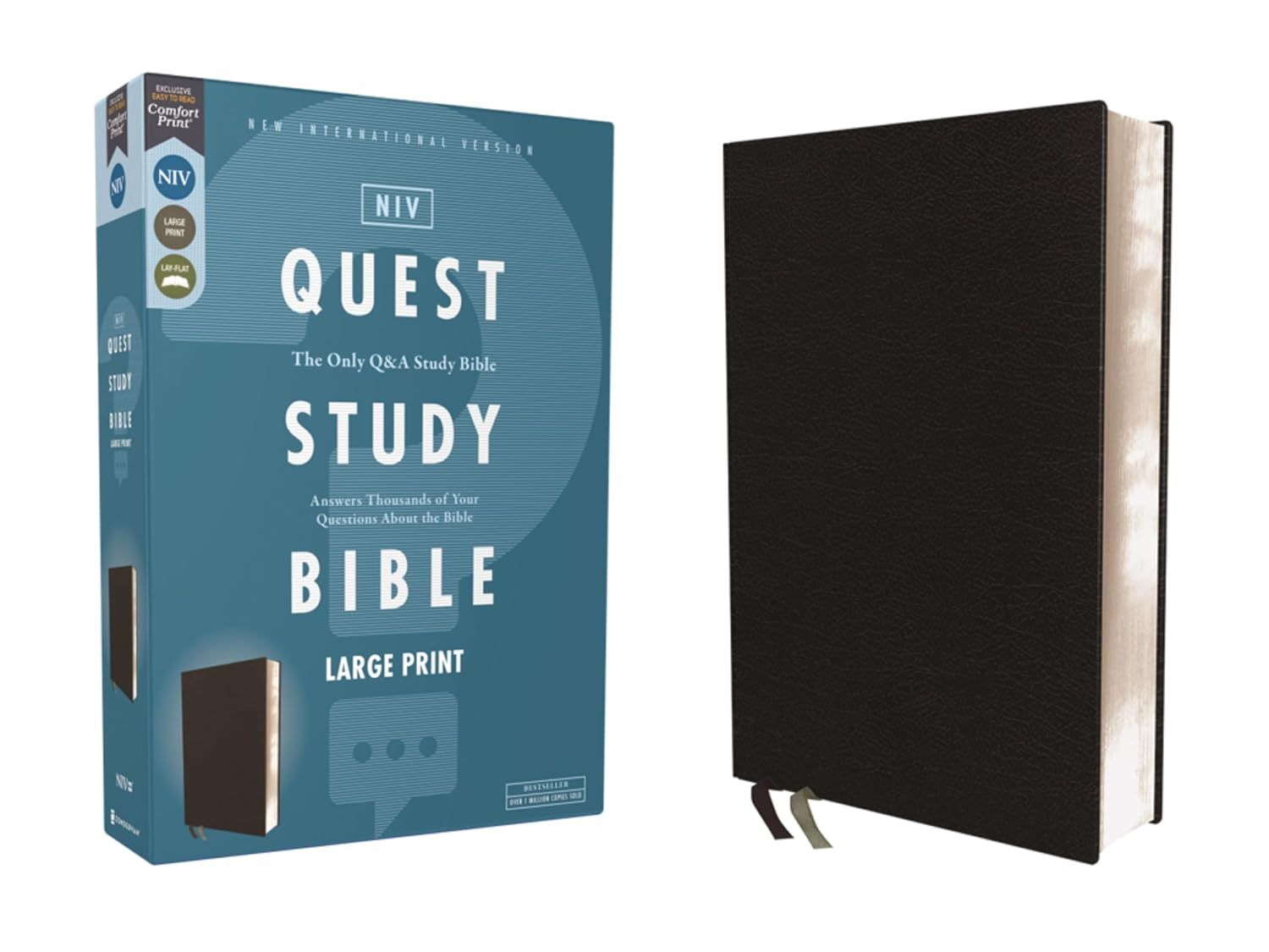 NIV, Quest Study Bible, Large Print Black