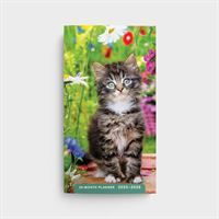 28-Month Planner - Kittens - 2025-2026