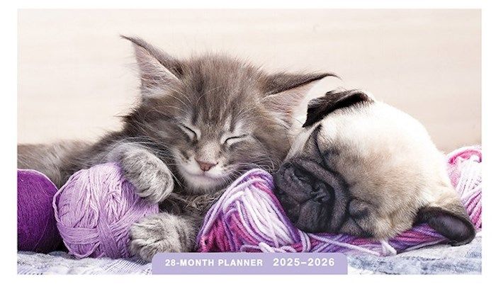 Whisker &amp; Paws 28 Month Pocket Planner  25-26