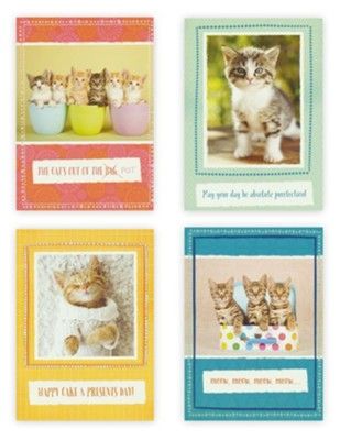 Card-Boxed-Birthday-Curious Kittens (Box Of 12)