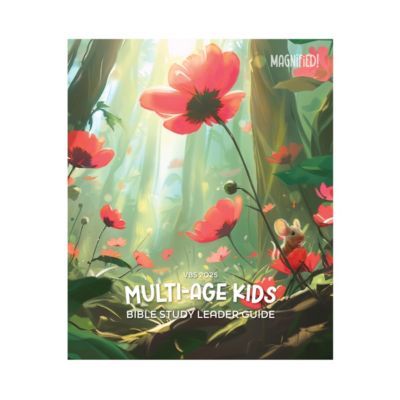 Vbs 2025 Multi-Age Kids Bible Study Leader Guide