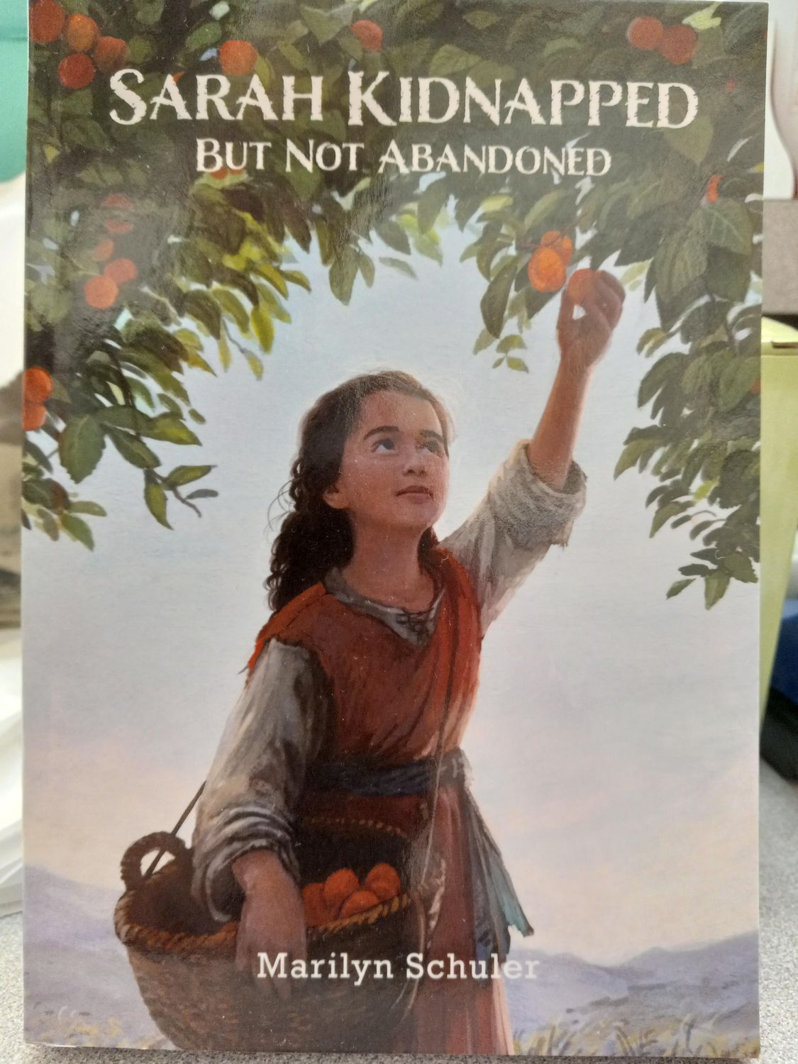 Sarah Kidnapped But Not Abandoned  - Marilyn Schuler