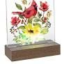MG195936-Bird Tabletop Acrylic Stand with light
