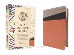 NIV Application Bible, Leathersoft, Coral/Gray, Red Letter, Comfort Print: Bringing the Ancient Message of the Bible Into Your World (NIV Application Commentary Resources)