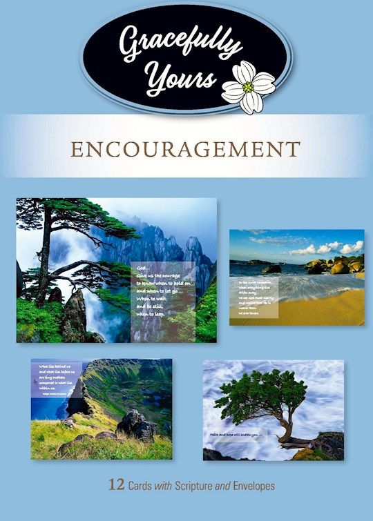 Card-Boxed-Encouragement-Positive Joy #006 (Box Of 12)