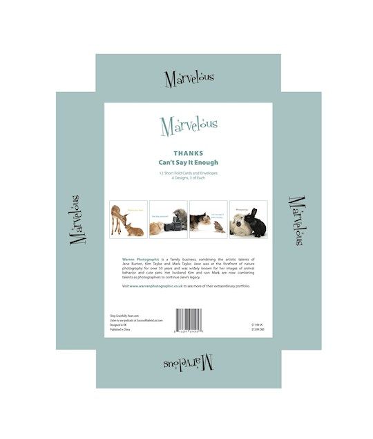 CARD-MARVELOUS CAN&#39;T SAY IT ENOUGH THANKS #195 (BOX OF 12)