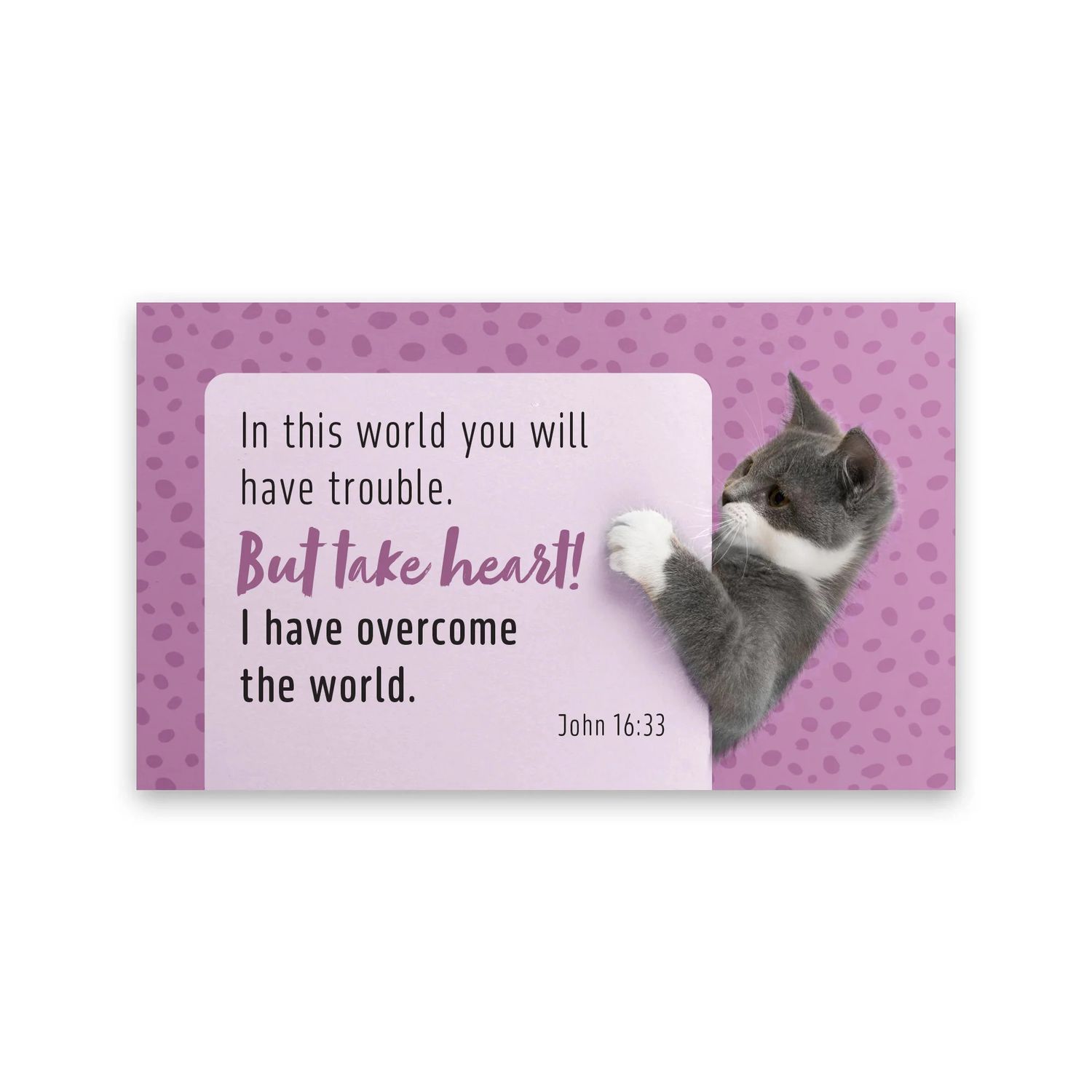 Cat, Take Heart, John 16:33, Pass Along Scripture Card