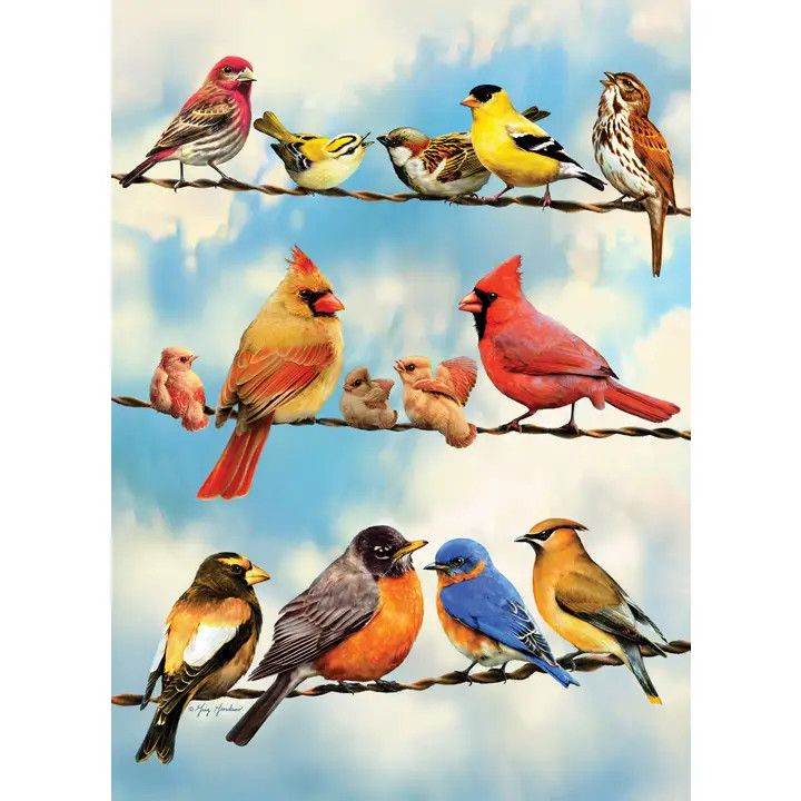 Blue Sky Birds (tray)  35 pc puzzle