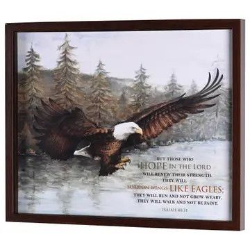 Framed Wall Art Eagle in Flight Isaiah40