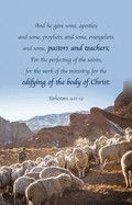 Pastor Appreciation Bulletin: And He Gave (Package of 100): Ephesians 4:11-12 (Kjv)