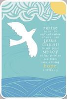 CC29-80867-Baptism-Christian Celebrations