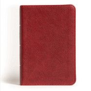 NASB 2020 Large Print Compact Reference Bible-Burgundy Leathertouch