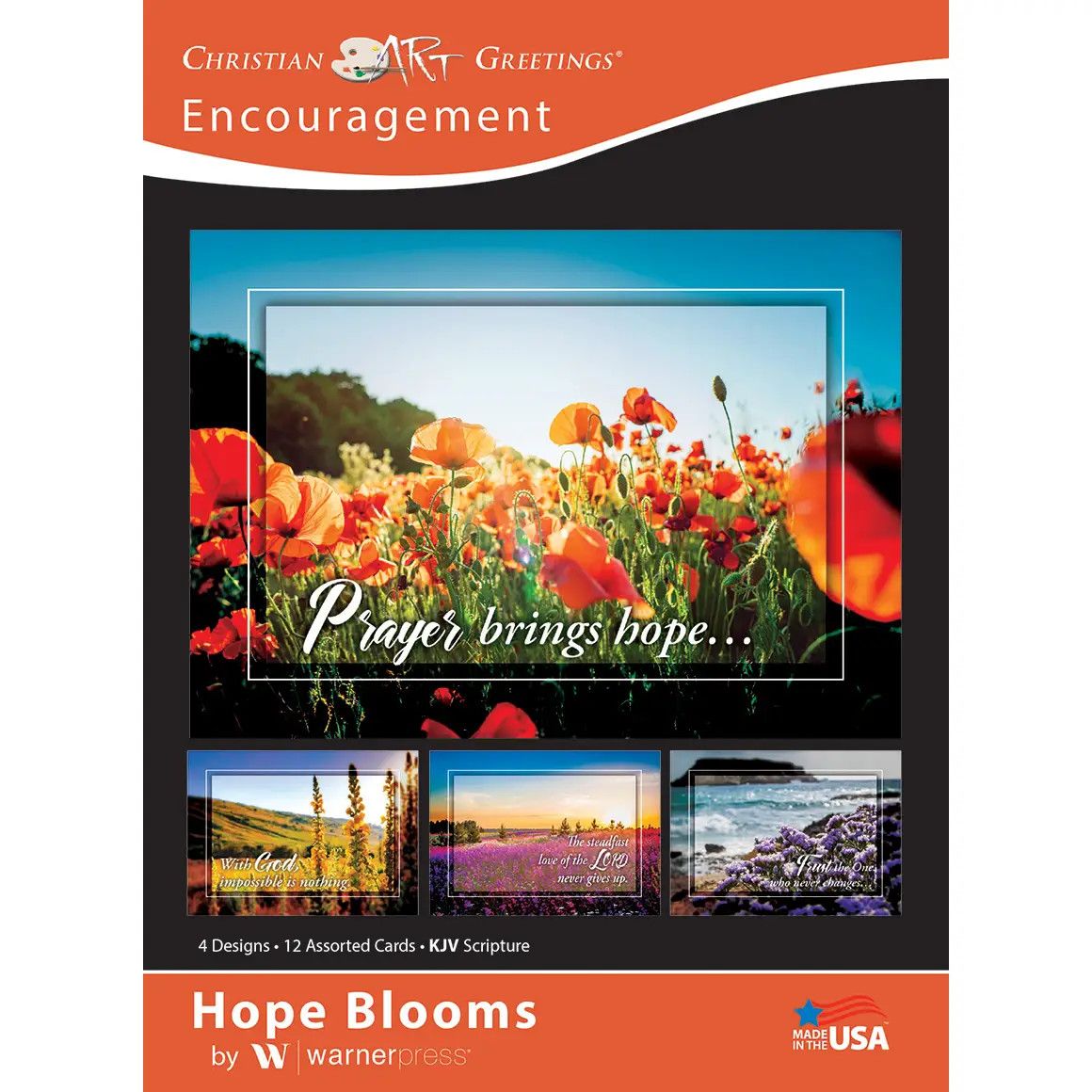 Card-Boxed-Hope Blooms Assorted Encouragement (KJV) (Box Of 12)