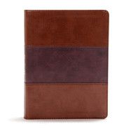 CSB Apologetics Study Bible-Mahogany LeatherTouch