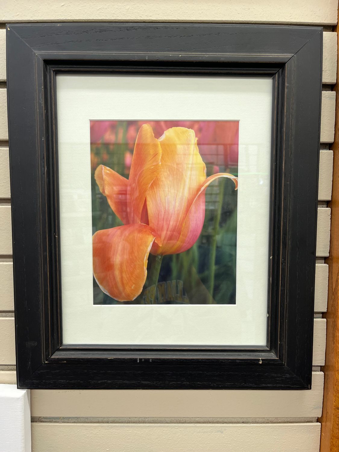 Phyl Brager Tulip wall decor