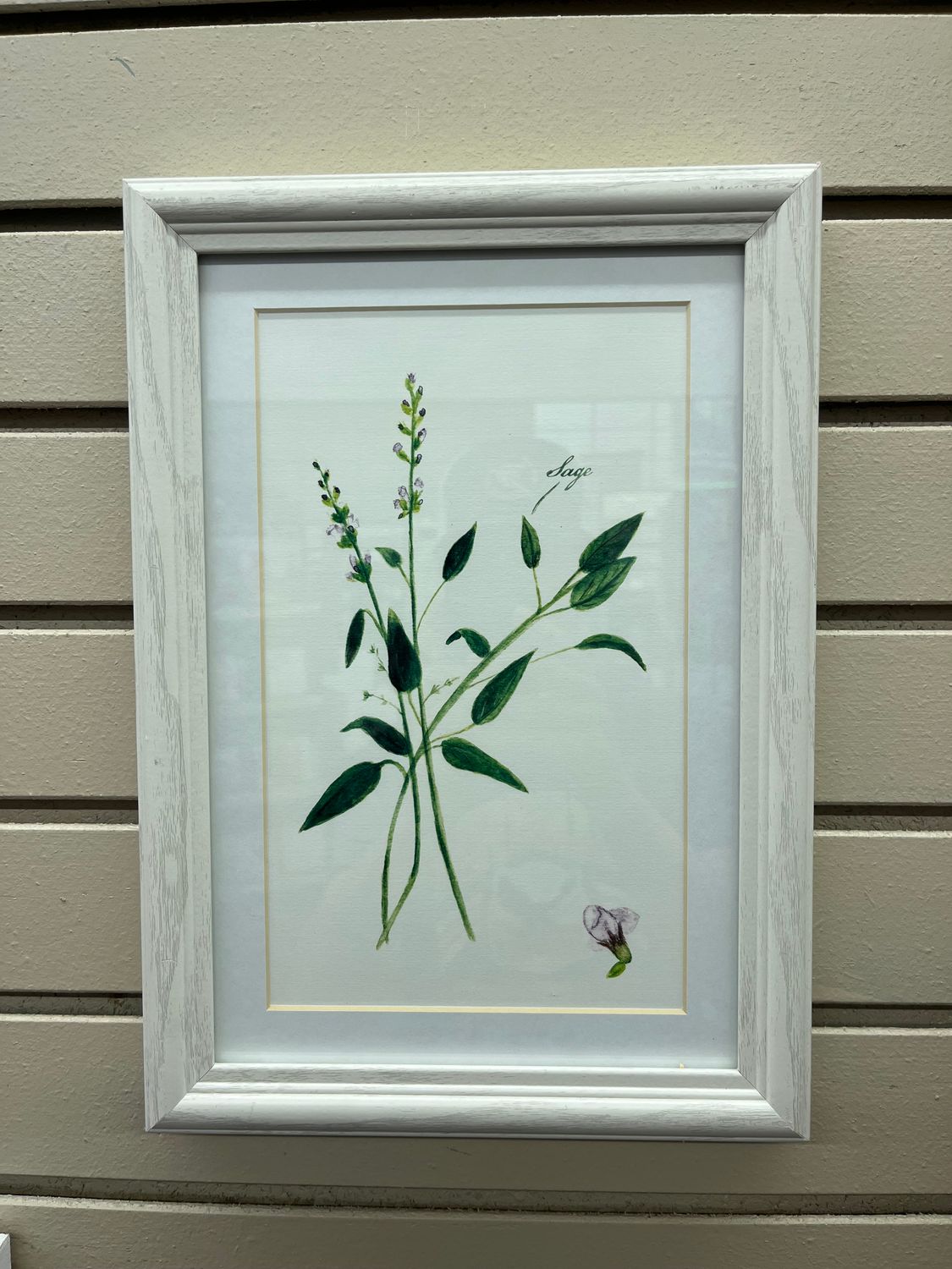 50001 Sage Wall Decor