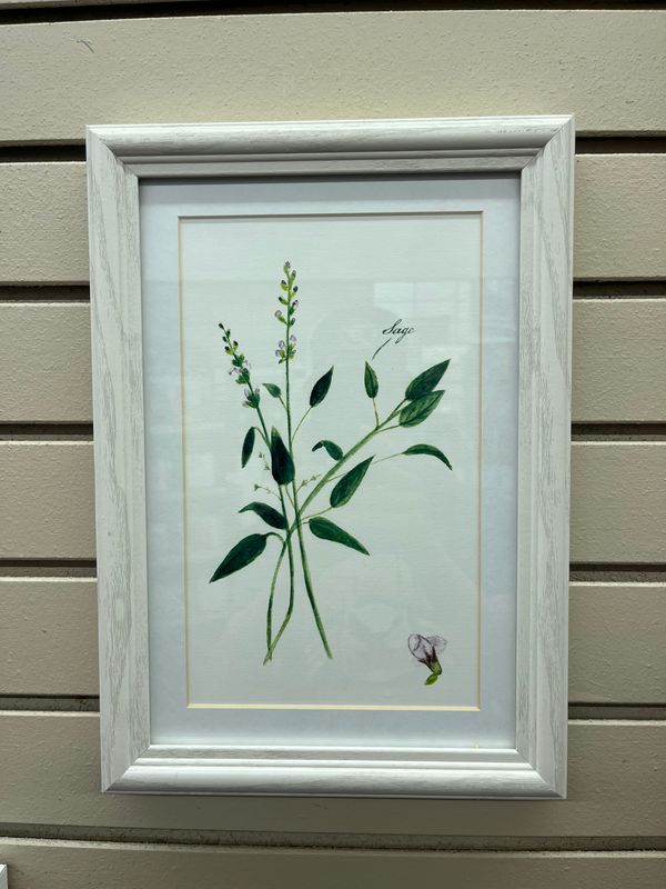 50001 Sage Wall Decor