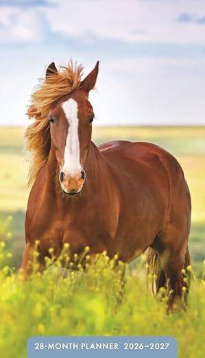 Horses 28-Month Inspirational Pocket Planner 2026-2027, 2-Year Calendar