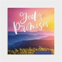 U3406-God's Promises Wall Calendar