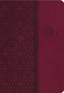 KJV Study Bible, Leathersoft, Red/Pink, Thumb Indexed, Red Letter Edition