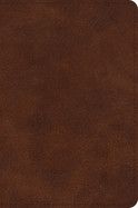 ESV Large Print Bible