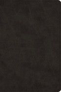 ESV Large Print Bible