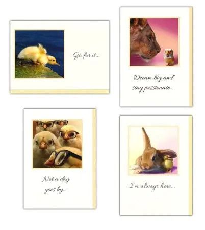 BOXED CARD-Gracefully Yours-Mentoring to Significance-Encourage #290