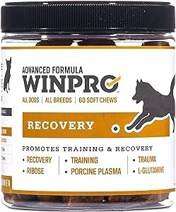 WINPRO - Recovery