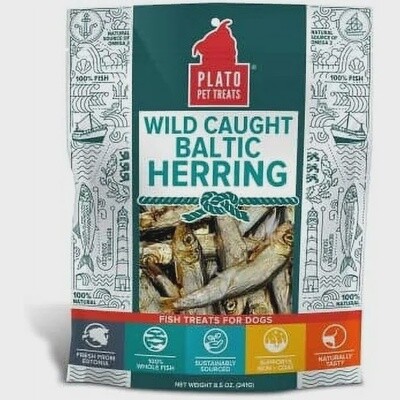 Plato Pet - Wild Caught Baltic Herring - 8.5oz