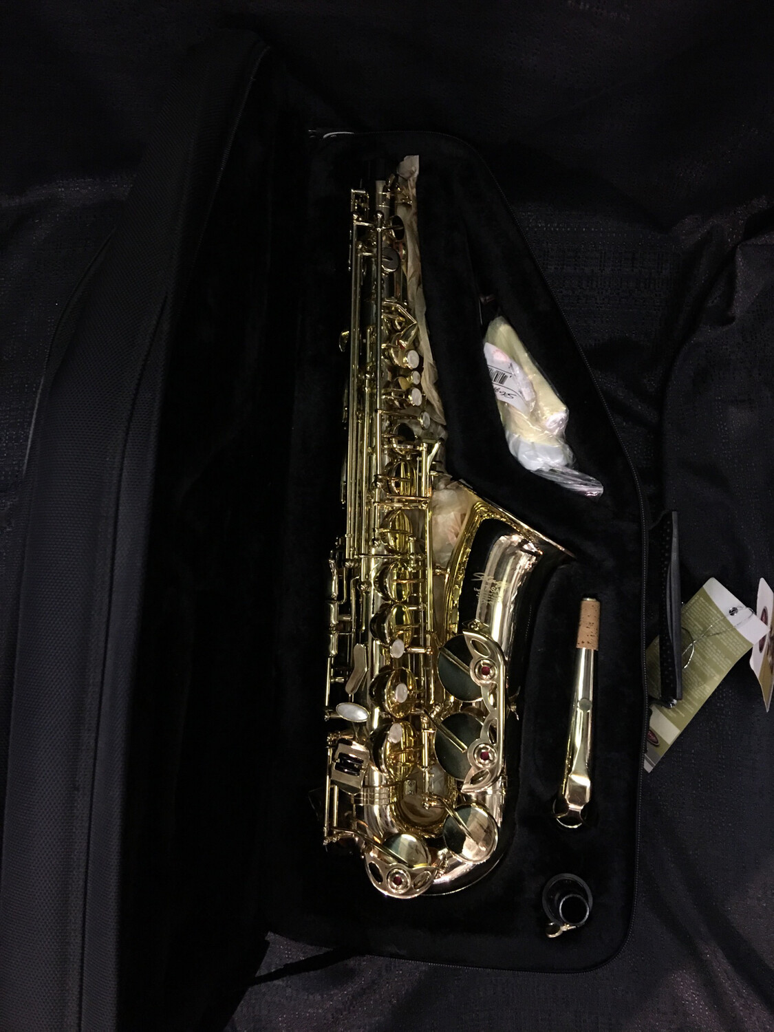 Stagg Alto Saxophone   77-SA/SC