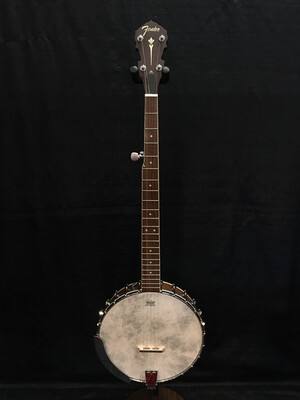 Fender 5 String Banjo with Bag    0970302321