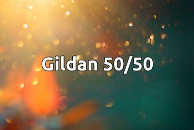 Gildan 50/50 Hoodie - 18500