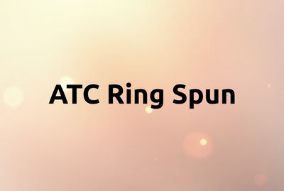 ATC Ring Spun Tee - 2000