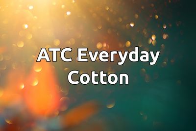 ATC Everyday Cotton Tee - 1000