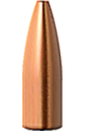Barnes Varminator .204in 32gr HP FB 100pk