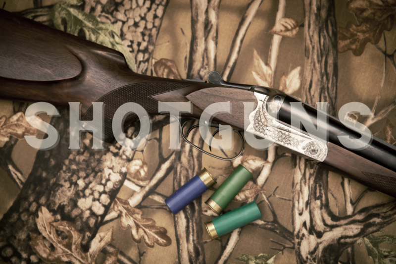 Shotguns