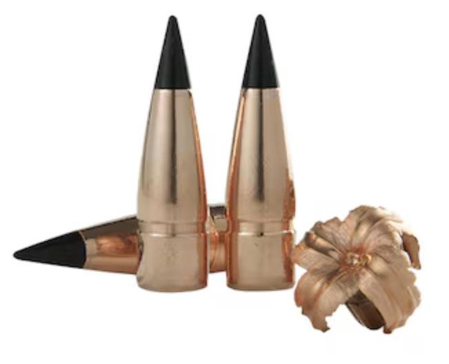 Barnes TAC-TX 300 AAC Blackout 110gr TAC-TX FB Polymer Tipped 20pk