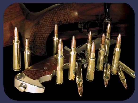 PPU 308 Win 168gr Hollow Point Boat Tail