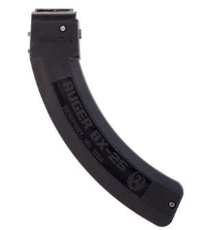 Ruger BX-25 LONG / .22LR Fixed To 10 Shot