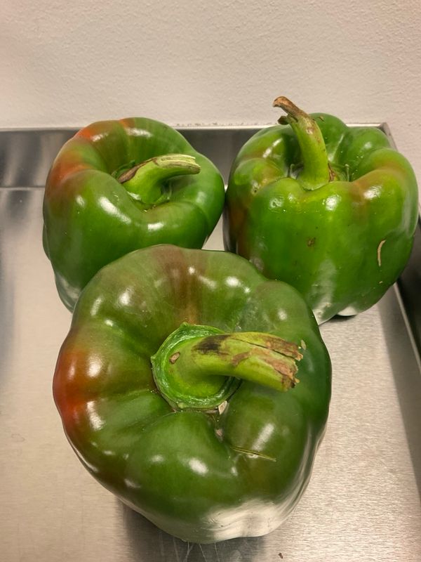 Green Bell Pepper