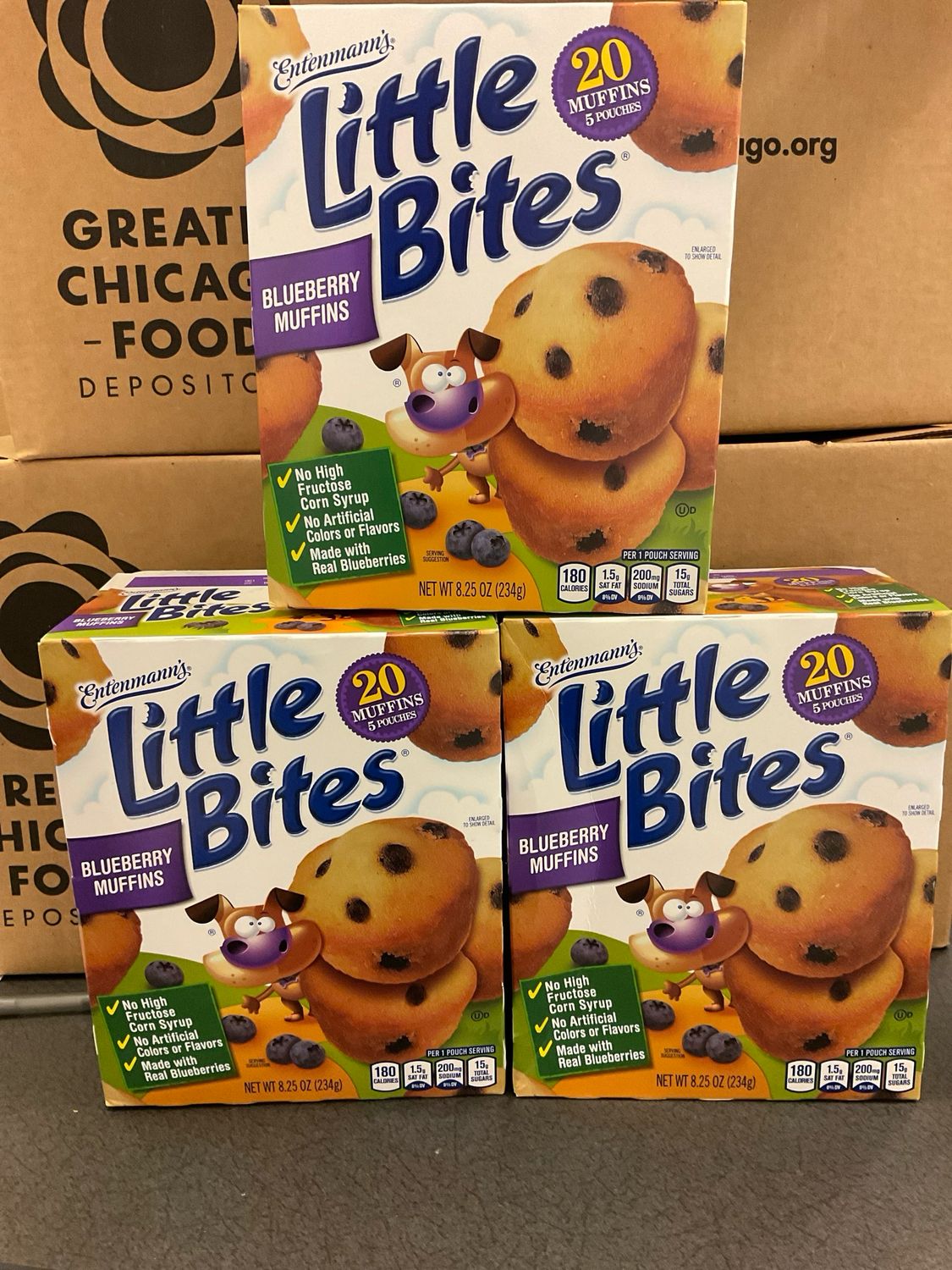 Blueberry Little Bites Muffins