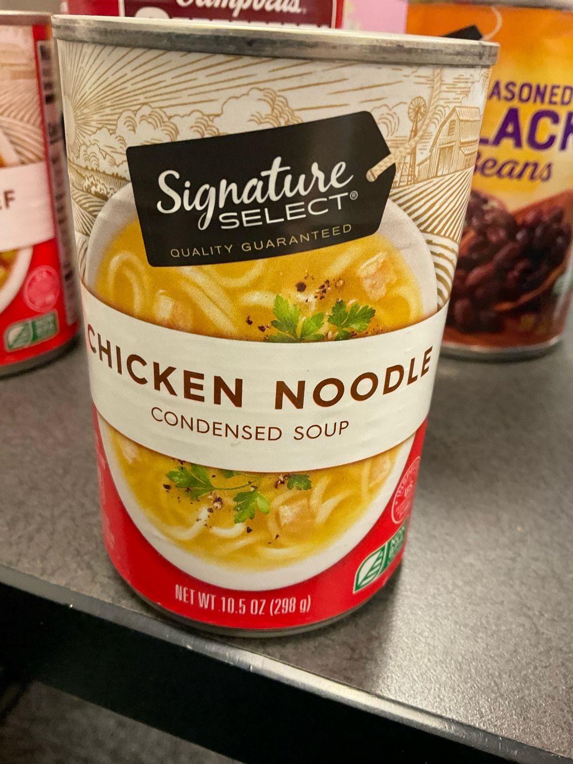 Chicken Noodle Soup