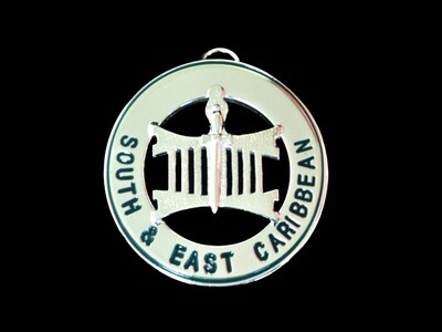 AMD District Active Collar Jewel