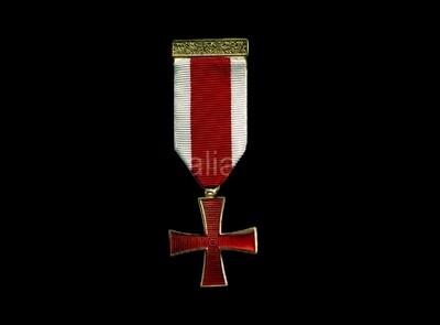 KT Breast Jewel