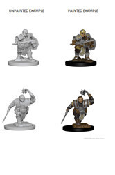 D&amp;D Nolzur&#39;s: Dwarf Female Fighter