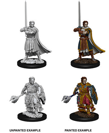 D&amp;D Nolzur&#39;s: Human Male Cleric