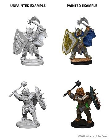 D&amp;D Nolzur&#39;s: Dragonborn Male Paladin