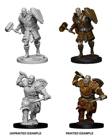 D&amp;D Nolzur&#39;s: Goliath Male Fighter