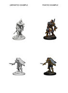 D&amp;D Nolzur&#39;s: Human Male Paladin